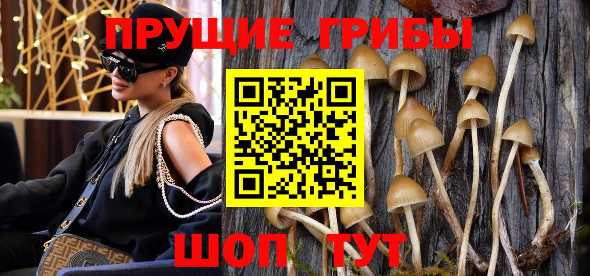 Псилоцибиновые грибы прущие грибы Калач-на-Дону